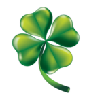 Field of Clovers!