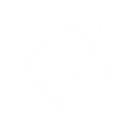 Eleria Studios