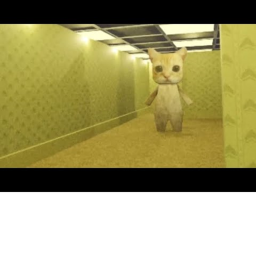kill all the el gatos in backroom