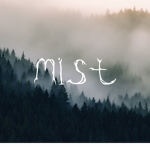 M!$T