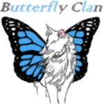 *+{ButterflyClan}+*