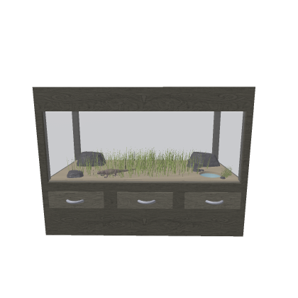 LIZARD TANK