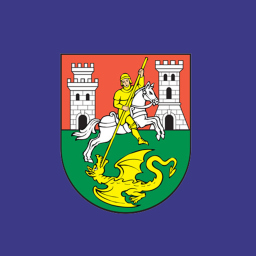 Vis