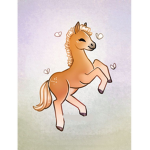 ~Aoife’s equestrian!~
