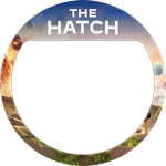 The Hatch