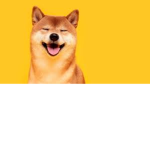 | Doggo Army |