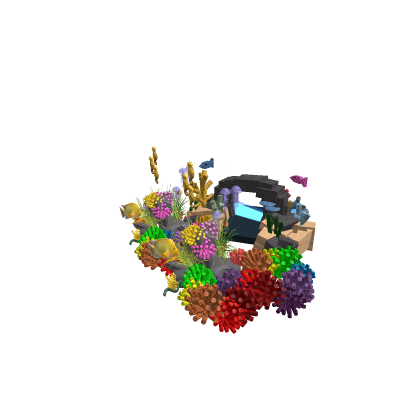 Coral Reef