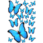 Beachy Butterflies