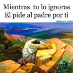 mis mejores amigos follower