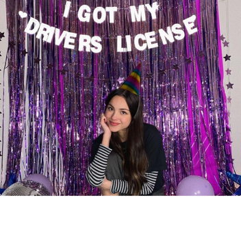 driver's license