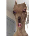 i_MakeGiveAway