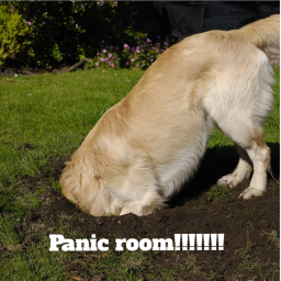 Doges untied's Panic room