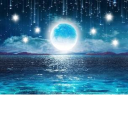 * . ~ Ocean's Home Store ~ . *