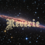 Reverie store