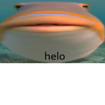 TheInfernoDonut's Group