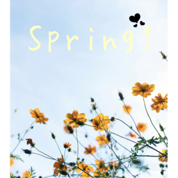 🌸Spring day🌸