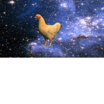 Chiken chil club