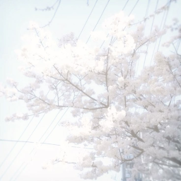 ⸙
