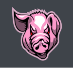 The Pink Pig