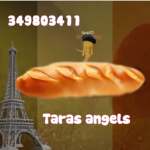 Tara’s AngeIs