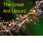 The Great Ant Union.