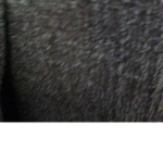#lol123