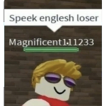 blox gamerz fan group
