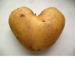 We The Potatos