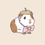 Guinea Piggy's
