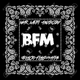 BFM Deadzone (Warplace)