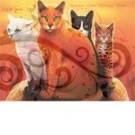 Sonya, Miki, Kittypaws SSS Warrior Cats