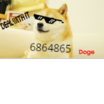 the doge home clob :D