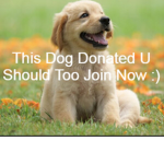 Howdothis
