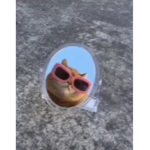 Cåt fôrėvėr