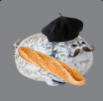 Pls Donate France
