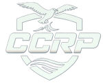 Chicago City Roleplay | VC ONLY