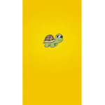 Turtles <3