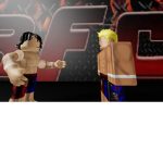 RFC ( Roblox Fighting Championship)