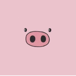 Aesthetic pig