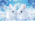 Bunny squad for life y’all