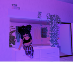 Weriadogs V I P