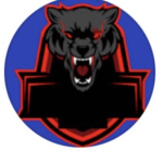 Black panther gaming sqaud