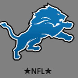 Ford Stadium : Detroit Lions