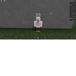 bunny hat cult