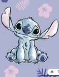 Lilo and Stich Gang