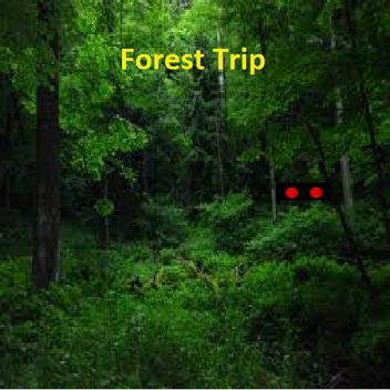 Forest Trip