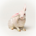 bunnyteeth.