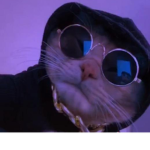 Meowz Team