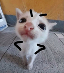 Skye’s_Group