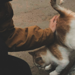 ♥